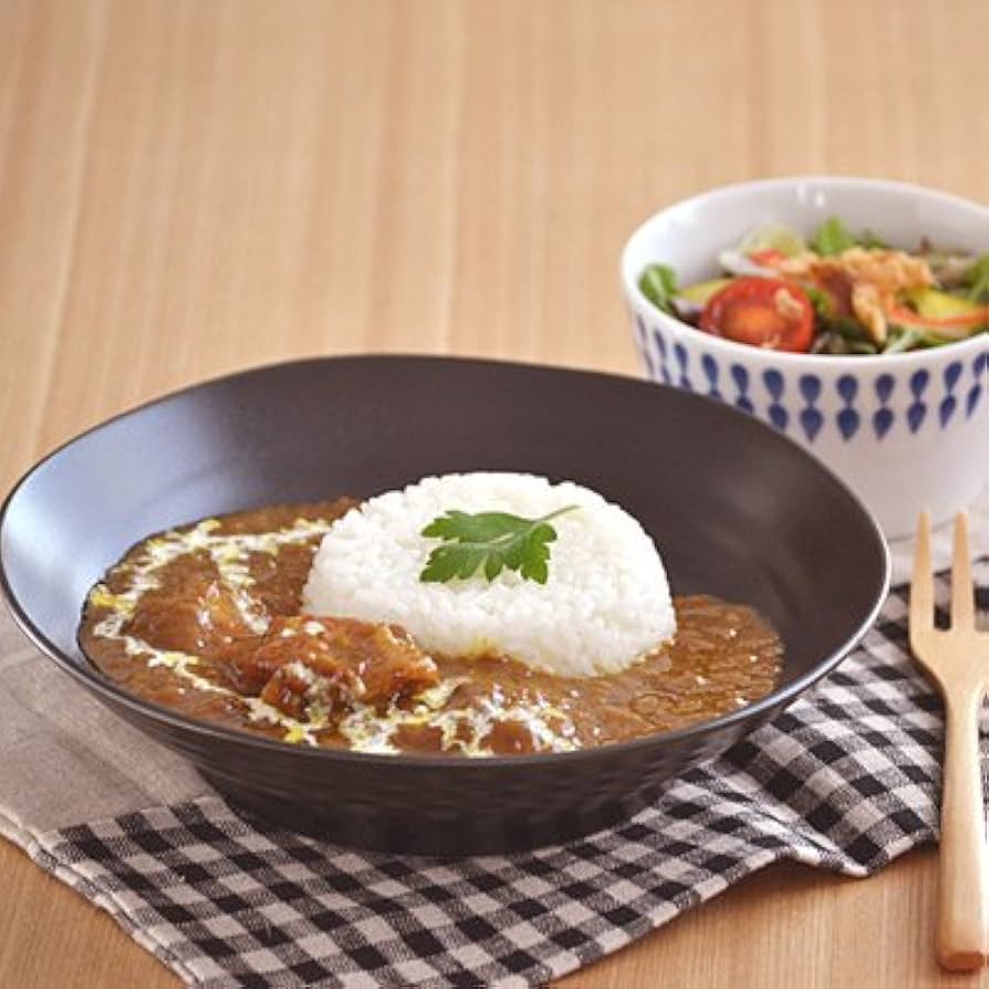 ゆいくんママ 新品 陶器 陶芸作家人気の黒マットパスタ皿浅め2枚A Amazon｜テーブルウェアイースト (黒マット) パスタ皿・カレー皿